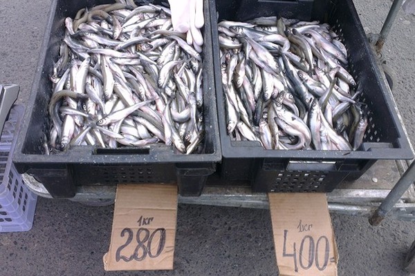 La misura dello sperlano